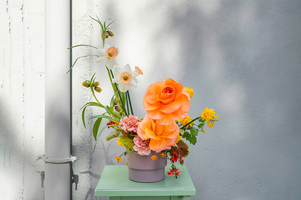 Chiara Sapiente Contrasts/1