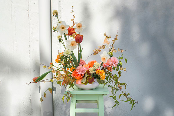 Chiara Sapiente Contrasts/4