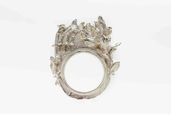 Botanical alliance, Foye-Chilco by Lucía Nieves Cortés