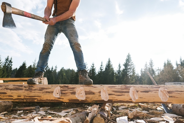Aljaž Celarc &  Eva Pavlič Seifert Woodwork