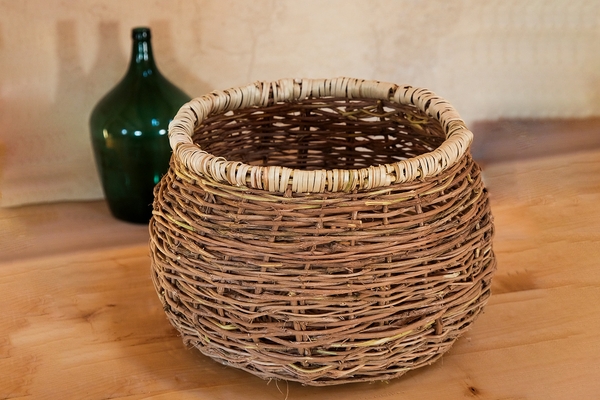 Aljaž Celarc &  Eva Pavlič Seifert Clematis vine basket