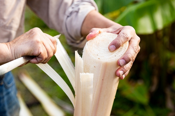 Yasuhiro & Ritsuko Fukushima Weaving