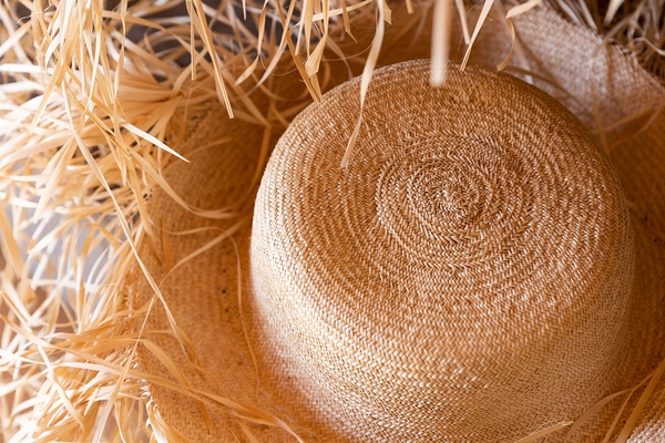 Yasuhiro & Ritsuko Fukushima Balbisiana hat