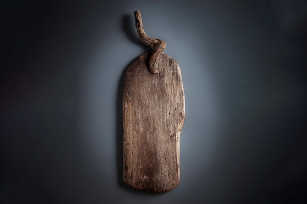 Miriam Márquez Chopping board, macaw