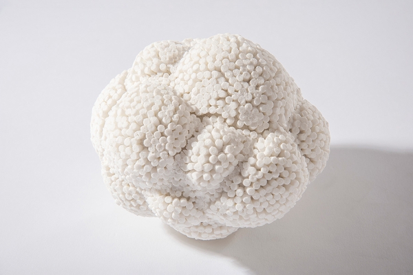 Heide Nonnenmacher Postevolutionary form