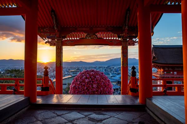 Nicolai Bergmann Japan