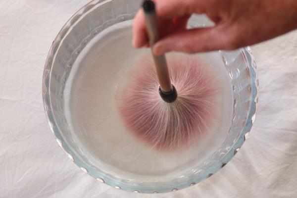 Anne McKenzie Calligraphy