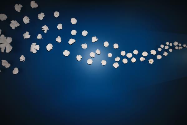 Sandrine Ramona Nerrou Brains