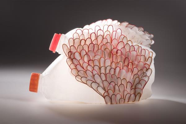 Helen O'Shea Ireland