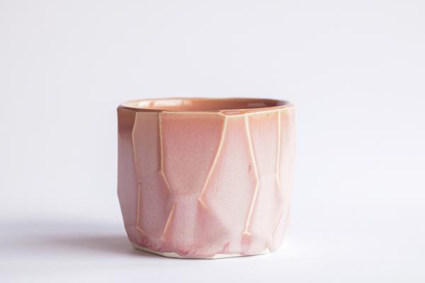 Gábor Somoskői Pinga