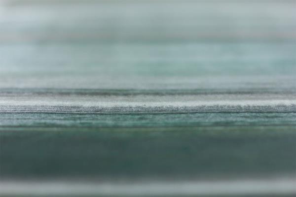 Caroline Besse Green wall panel