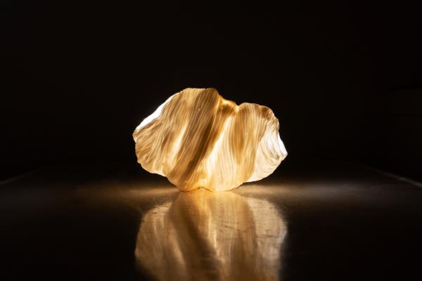 Kika Hinari Luminous Creatures