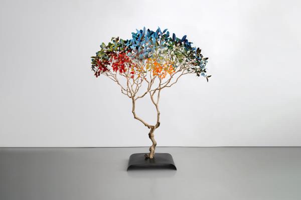 Nelly Saunier Glycine Series