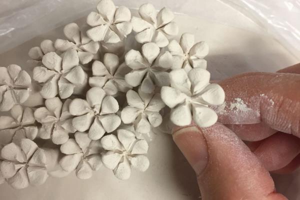 Vanessa Hogge United Kingdom