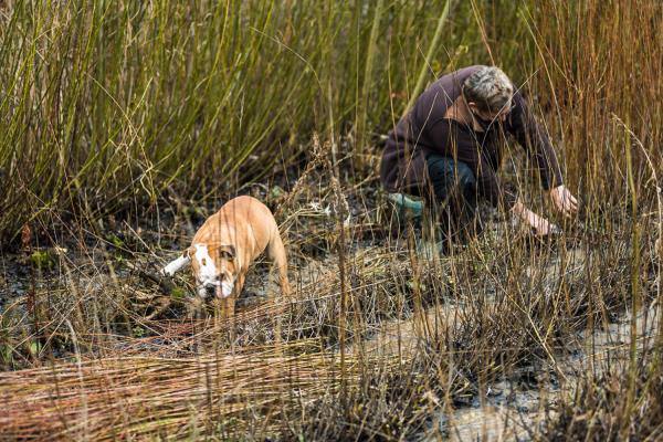 Alison Dickens United Kingdom