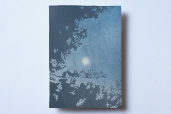 Wenqi Liu Le soleil de la brume - Chapitre II, N.01