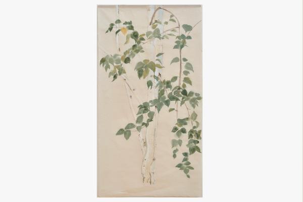 Anne McKenzie Himalayan Birch 4 Pigment