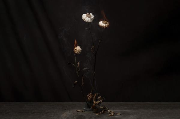 Fiona Inglis Consumation