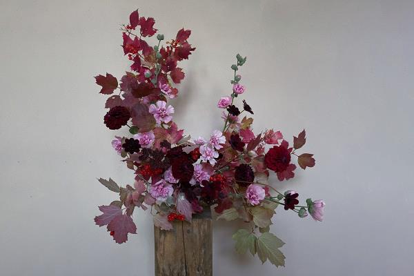 Sophie Wiking Fall vibes