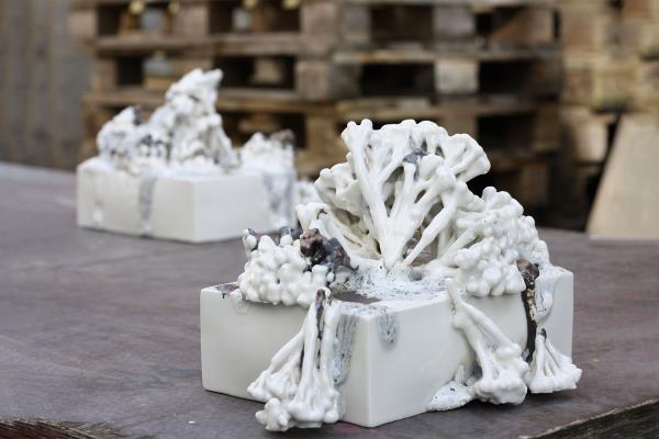 Signe Fensholt Lo and Behold 1/4