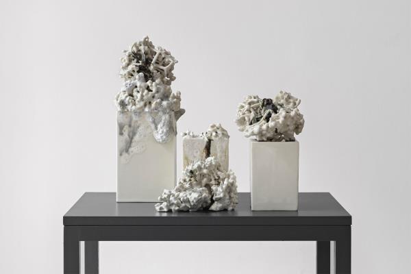 Signe Fensholt Behold: Become – Privileged Pose No 1