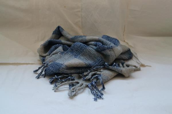 Hollie Ward Lisa Shawl