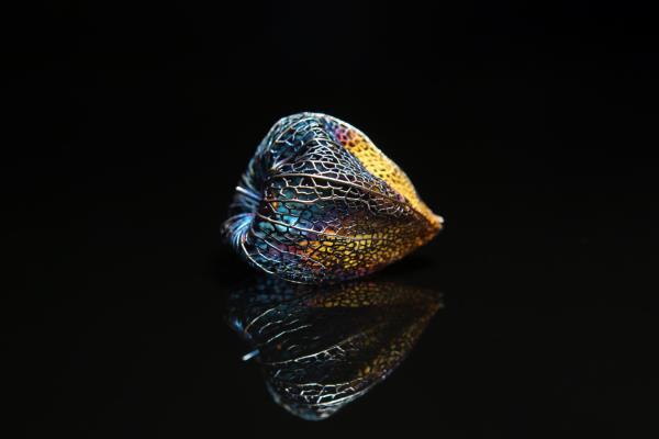 Kostyantyn Lisakovskyi Autumn story