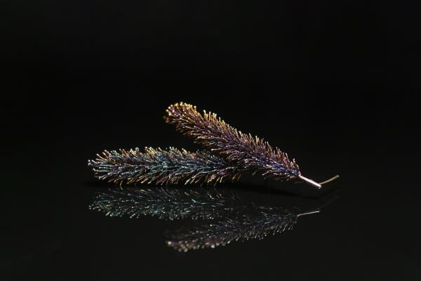 Kostyantyn Lisakovskyi Summer dreams