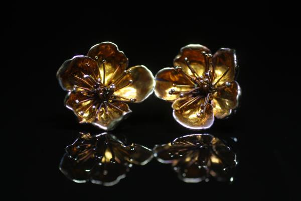 Kostyantyn Lisakovskyi Flowering