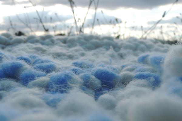 Inés Rodríguez Allariz