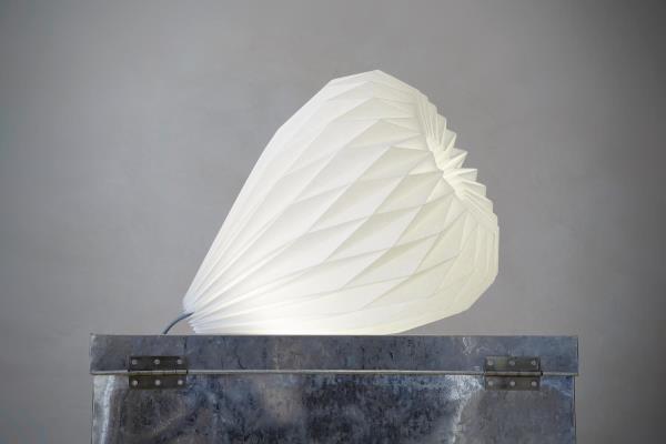 Jutta Müntefering Snowdrop