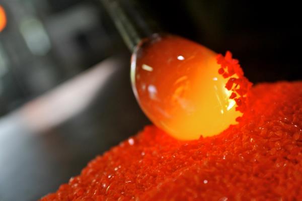 Vincent Breed France