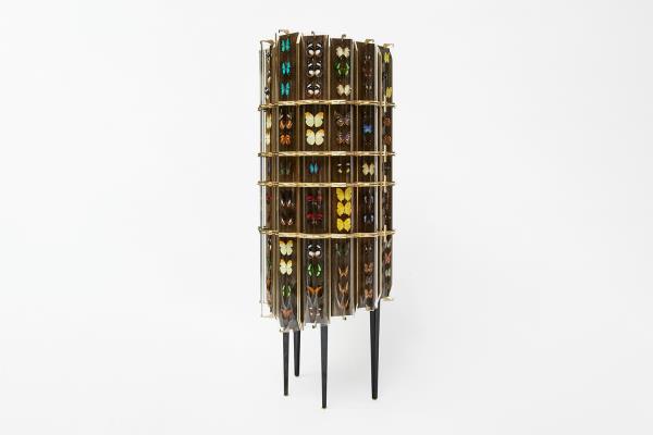 Erwan Boulloud Petit Cabinet de Curiosité