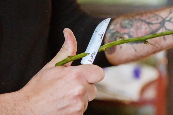 Mario Nobile Flower designing