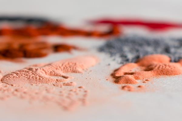 Caroline Besse Decorative painting