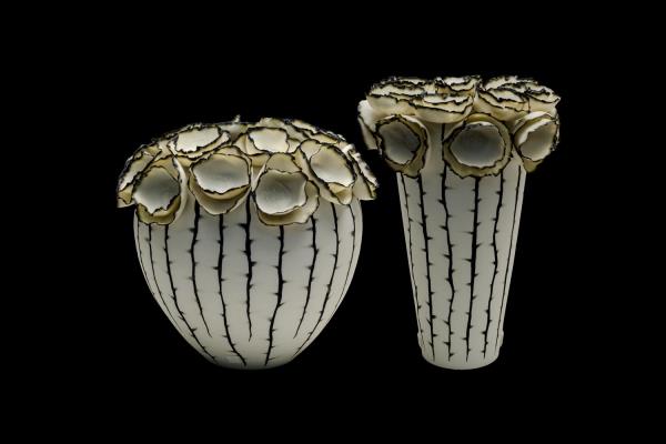 Elisabetta Bovina & Carlo Pastore Aboutilon