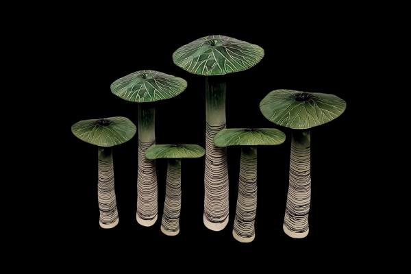 Elisabetta Bovina & Carlo Pastore Nymphaeae