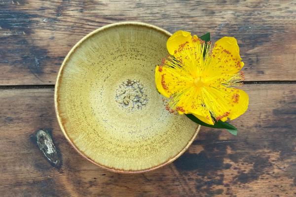 Sylvain Lequenne Chêne en langue gauloise, Longévité & Majesté (dish)