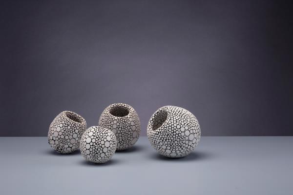 Fflur Cadwaladr Owen Specimen No. 024 No. 025, No. 03 and No. 026