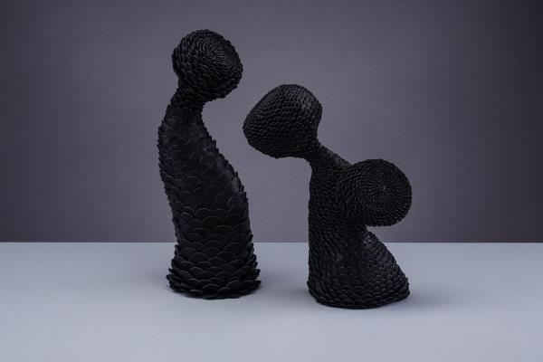 Fflur Cadwaladr Owen Specimen No. 019 and No. 017