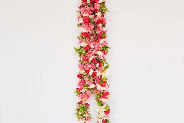 Jayaselvam R. Arali Kathambam ball