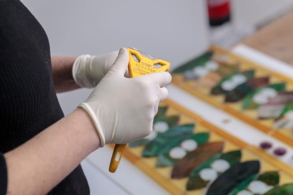 Veerle Verschooren Stained glass making