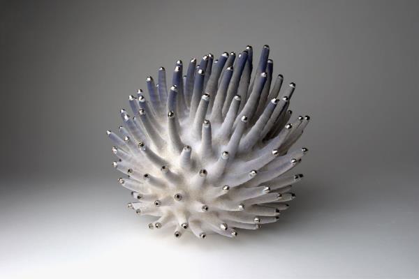 Eva Zethraeus Lavender Seedling