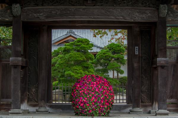Nicolai Bergmann Flower Ball