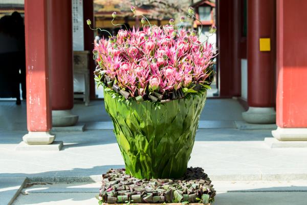 Nicolai Bergmann Roumon