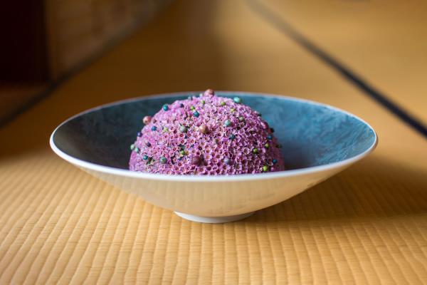 Nicolai Bergmann Chamelaucium