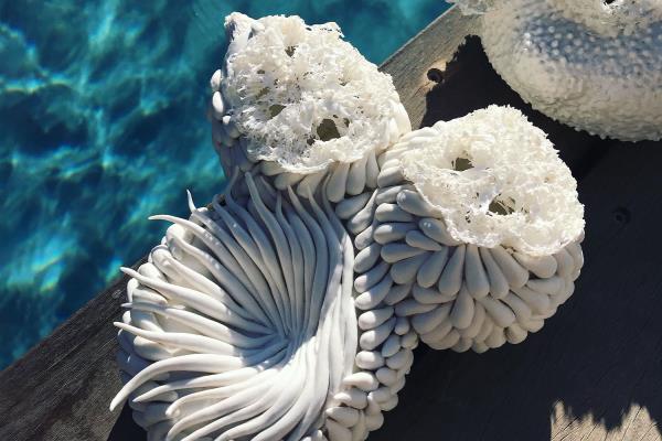 Anne Sophie Boulogne France