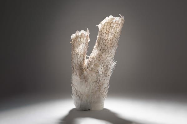 Helen O'Shea Bi-Valve