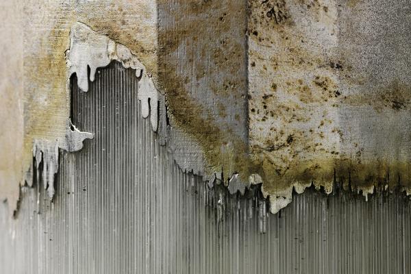 Harry Morgan United Kingdom