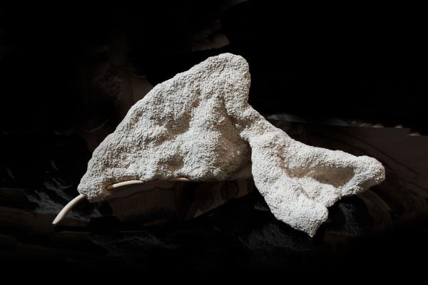 Simone Pheulpin Epiphyte